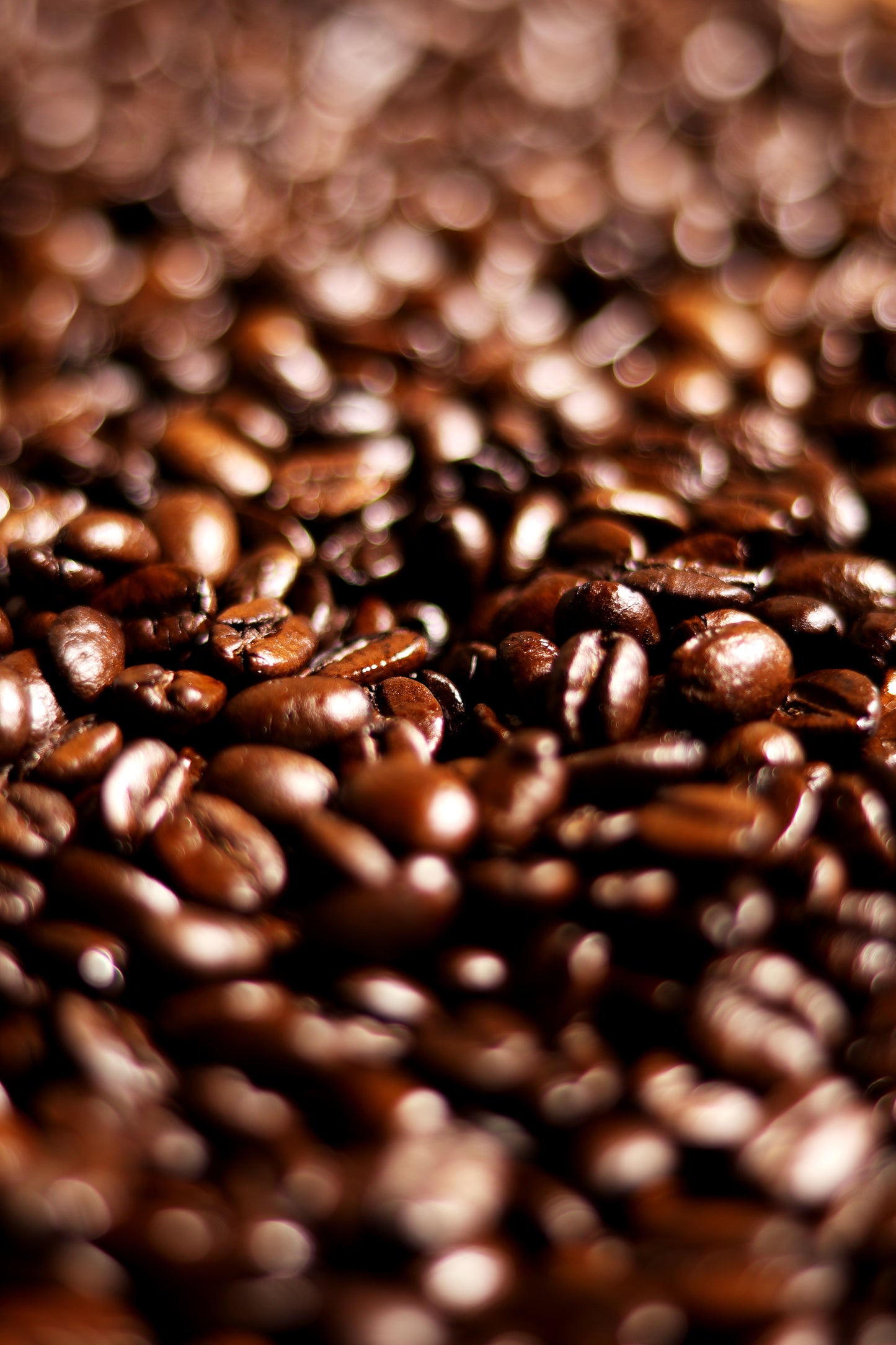 メキシコ チアパス フィンカ（カフェインレス）